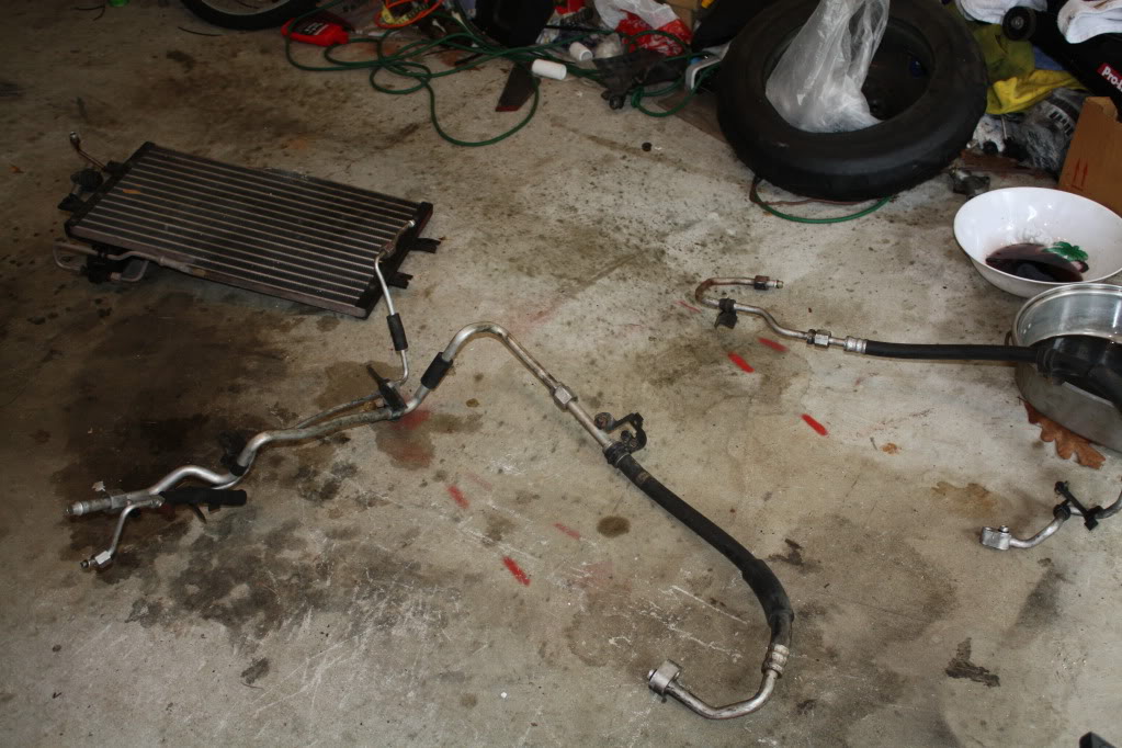 Name:  IMG_4711.jpg
Views: 503
Size:  148.7 KB