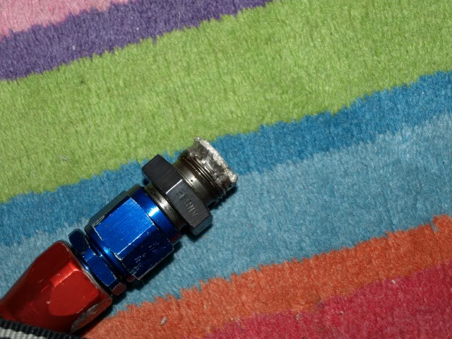 Name:  PA191066.jpg
Views: 80
Size:  111.0 KB