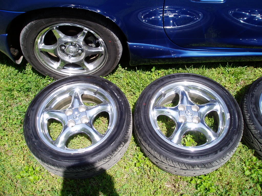 Name:  P1010040.jpg
Views: 88
Size:  230.8 KB