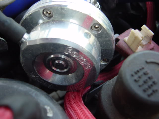 Name:  DSC03788.jpg
Views: 51
Size:  34.4 KB