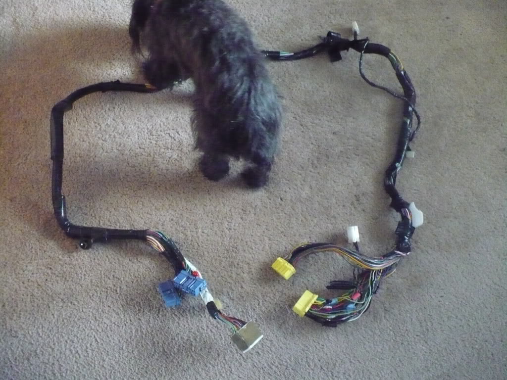 Name:  P1060309.jpg
Views: 187
Size:  166.8 KB