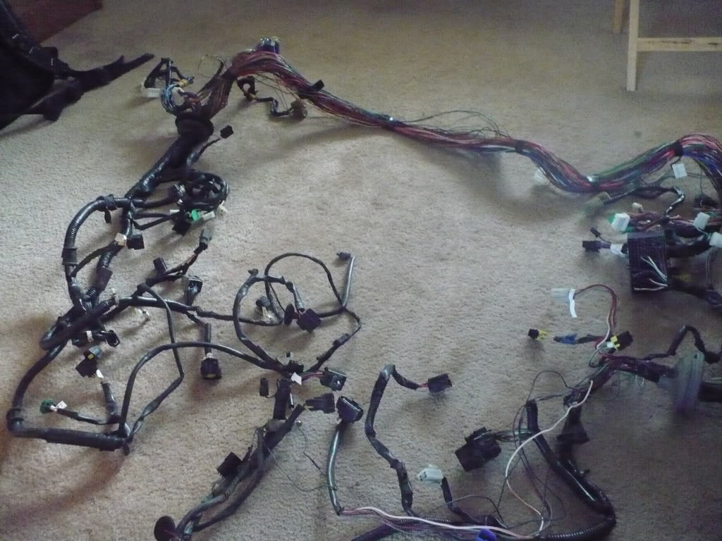 Name:  P1060310.jpg
Views: 191
Size:  160.0 KB