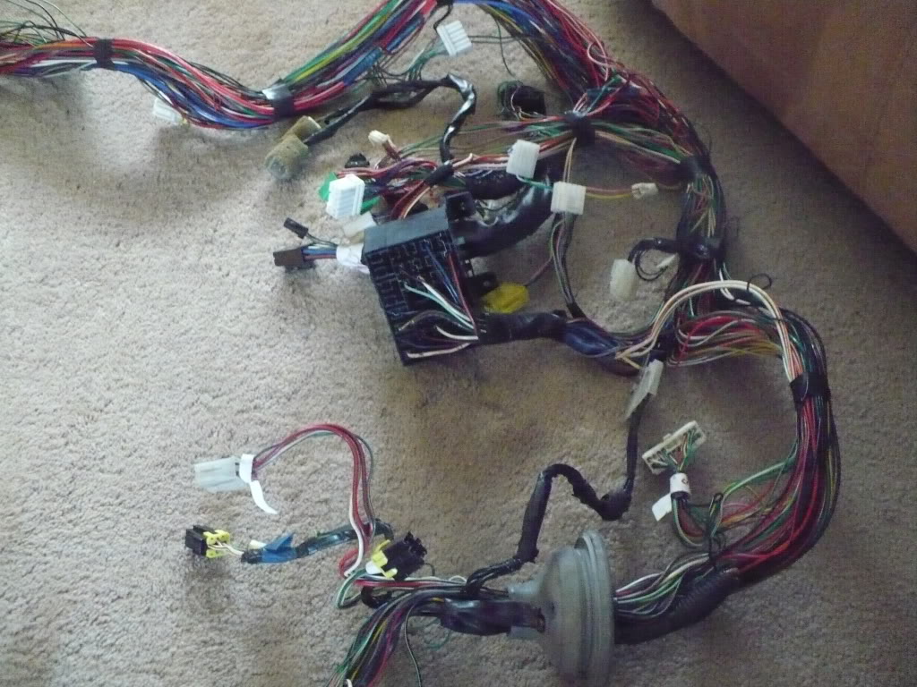 Name:  P1060311.jpg
Views: 197
Size:  168.0 KB