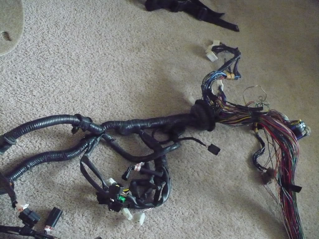 Name:  P1060312.jpg
Views: 194
Size:  181.0 KB