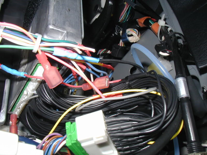 Name:  P1010179-1.jpg
Views: 115
Size:  92.1 KB