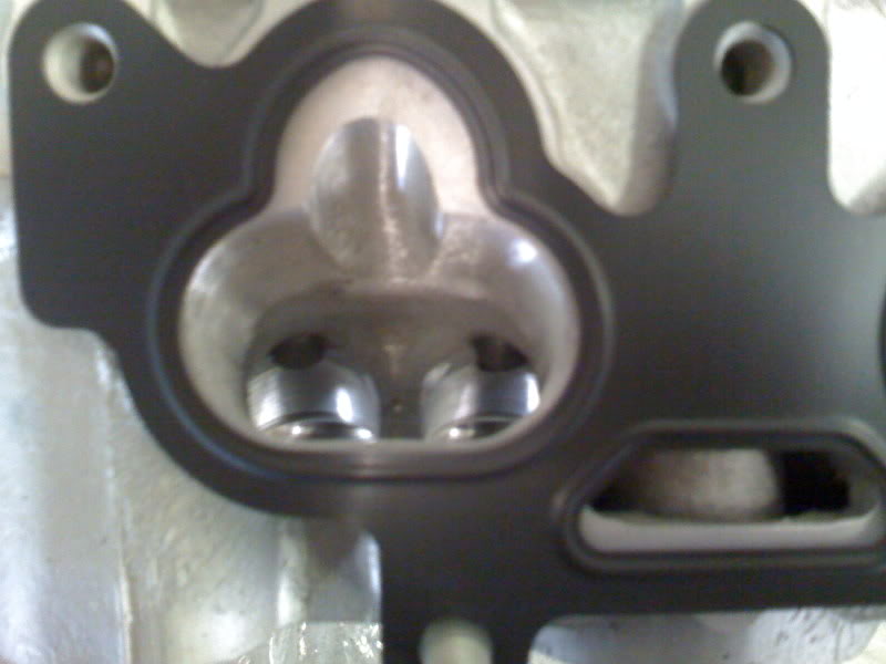 Name:  IMG_0169.jpg
Views: 51
Size:  41.6 KB