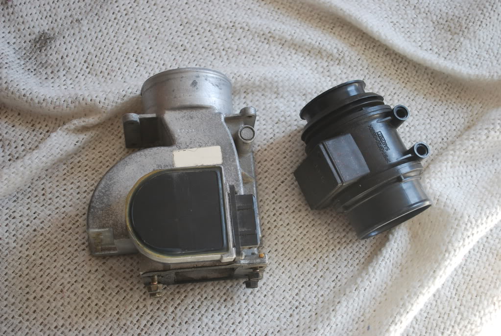 Name:  DSC_0302-3.jpg
Views: 56
Size:  173.1 KB