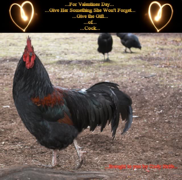 Name:  ****.jpg
Views: 53
Size:  73.3 KB