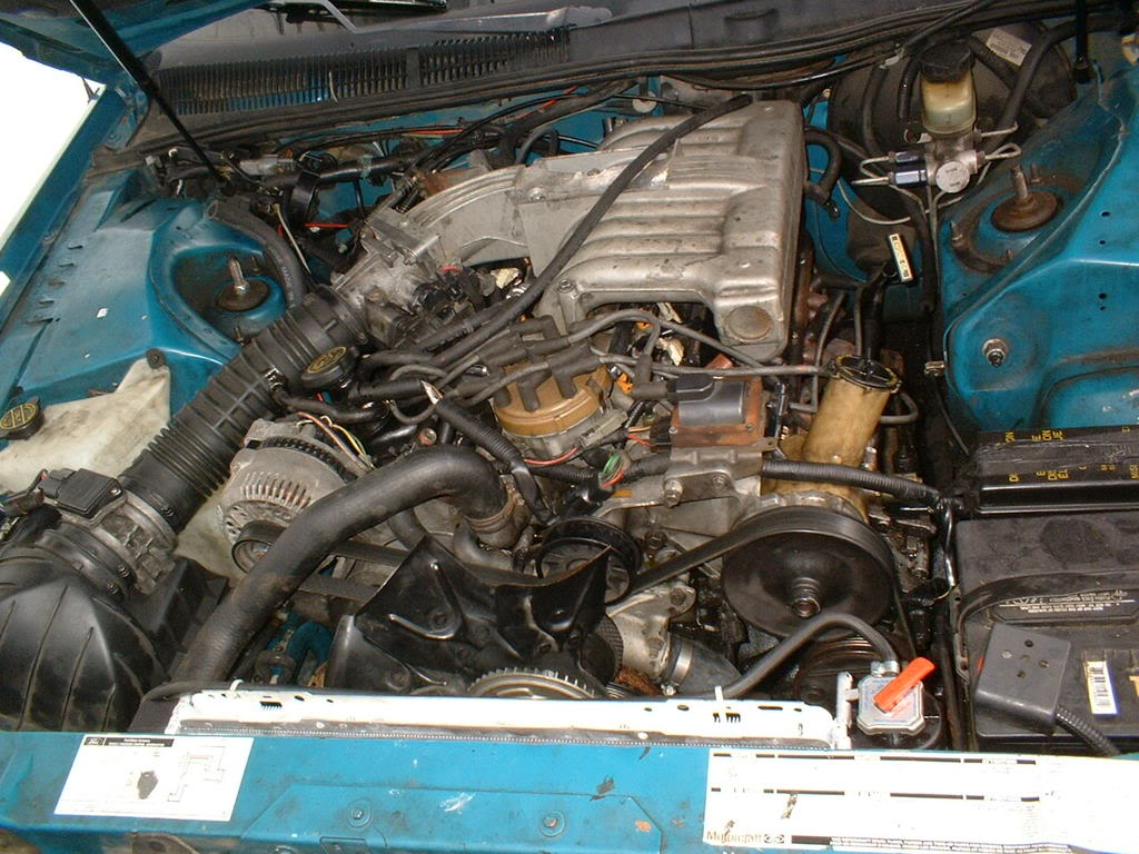 Name:  DSCF0011.jpg
Views: 74
Size:  149.8 KB