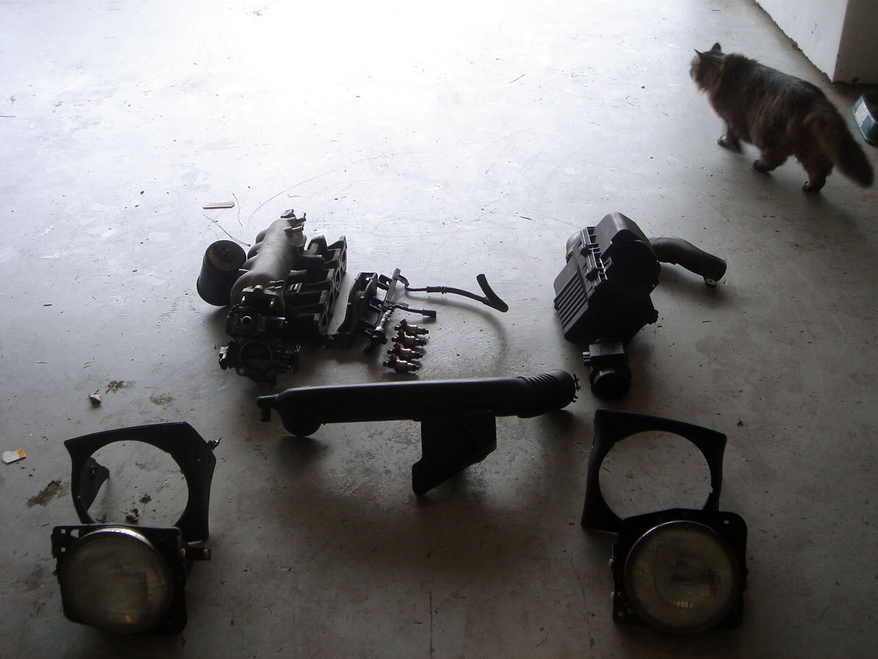 Name:  DSC03446.jpg
Views: 32
Size:  142.9 KB