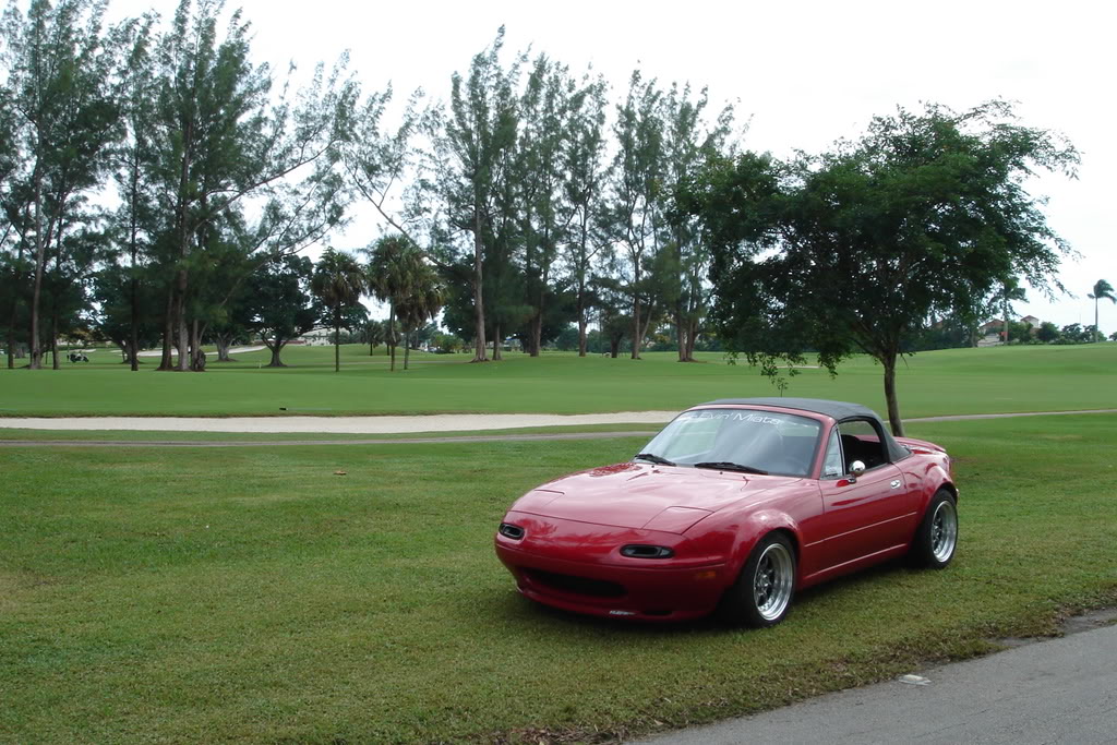 Name:  DSC06288.jpg
Views: 53
Size:  193.3 KB