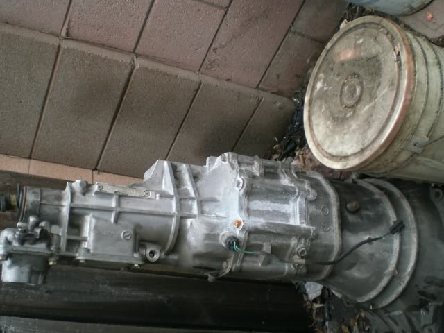 Name:  CIMG5761.jpg
Views: 41
Size:  80.7 KB