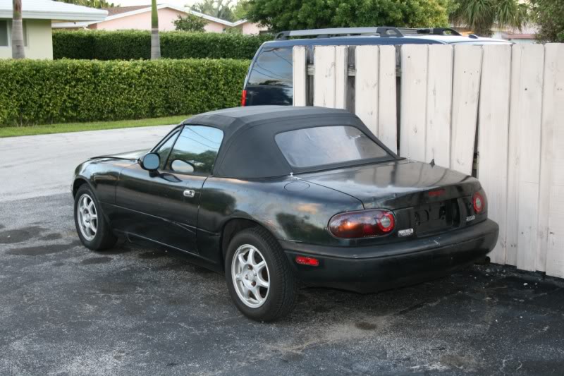 Name:  IMG_5826800x600.jpg
Views: 74
Size:  92.2 KB