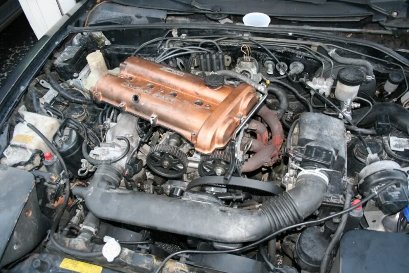 Name:  IMG_5853800x600.jpg
Views: 76
Size:  108.4 KB