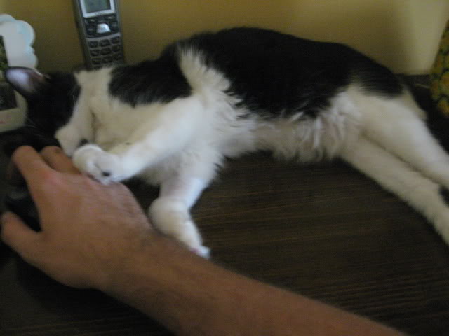 Name:  IMG_1257.jpg
Views: 80
Size:  32.3 KB