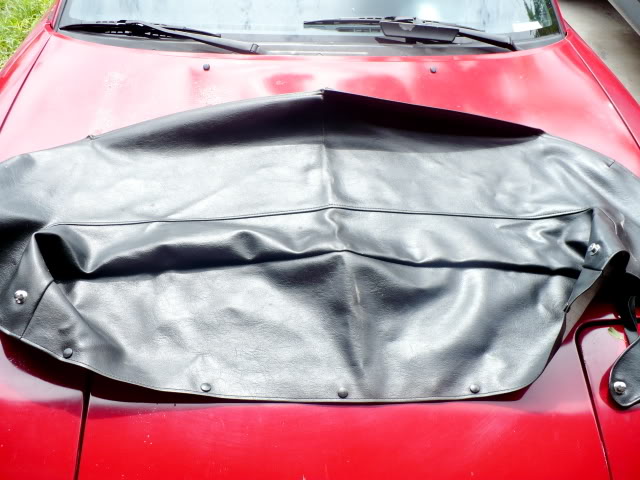 Name:  P1040579.jpg
Views: 56
Size:  65.3 KB