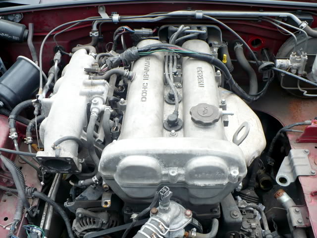 Name:  P1040586.jpg
Views: 43
Size:  85.4 KB