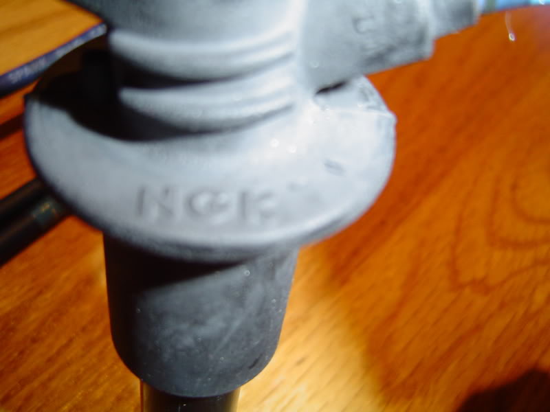 Name:  DSC00003-14.jpg
Views: 109
Size:  40.0 KB