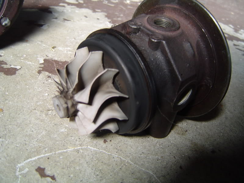 Name:  DSC00168.jpg
Views: 47
Size:  72.1 KB