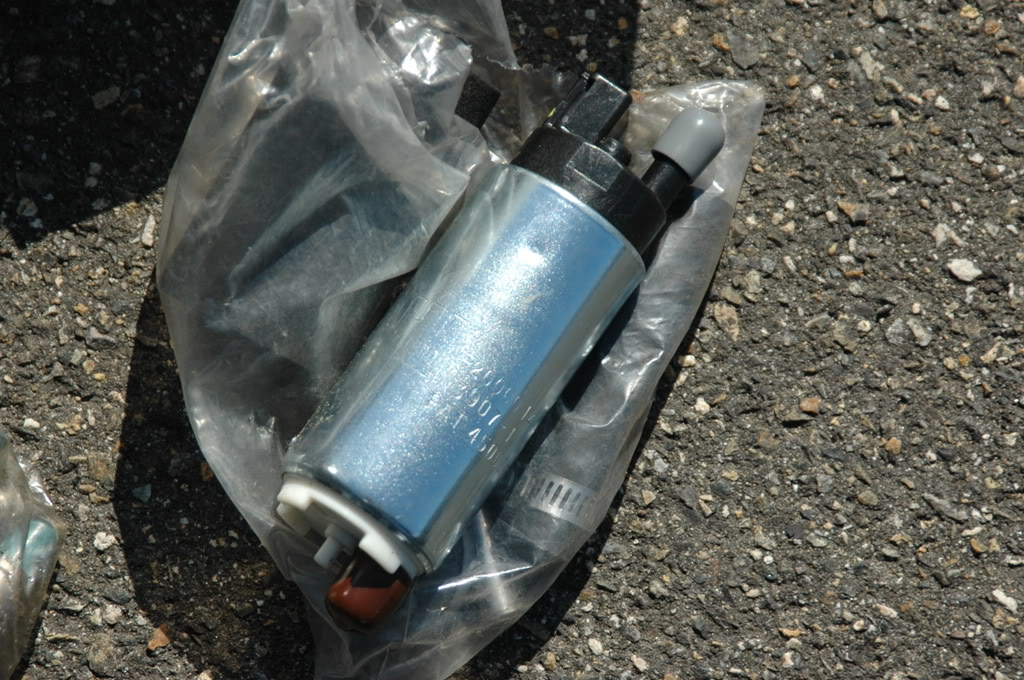 Name:  DSC_9147.jpg
Views: 70
Size:  205.0 KB