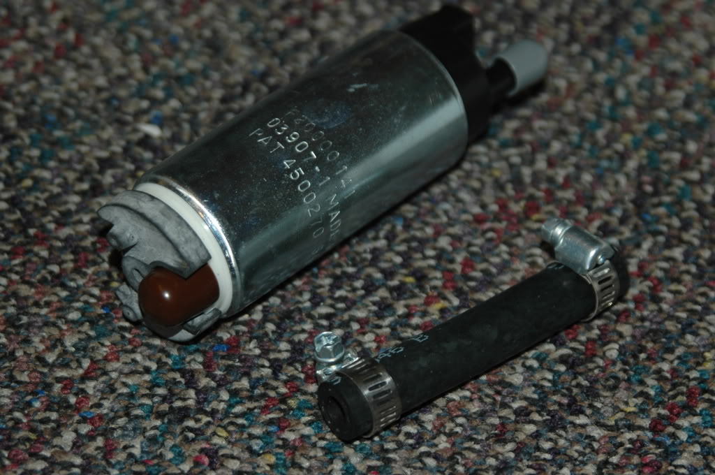 Name:  DSC_9185.jpg
Views: 69
Size:  150.5 KB