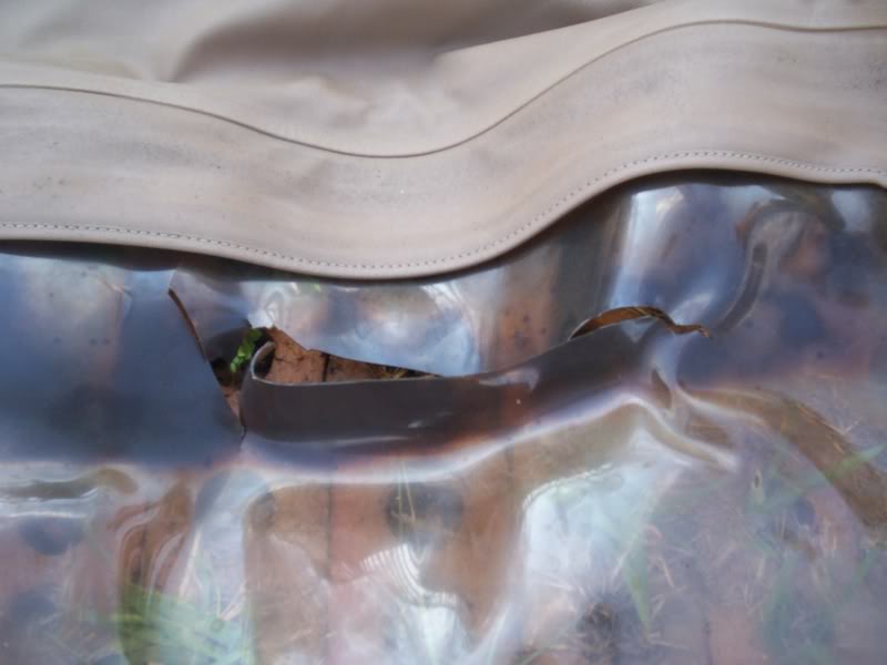 Name:  PopsCamera009.jpg
Views: 25
Size:  38.0 KB