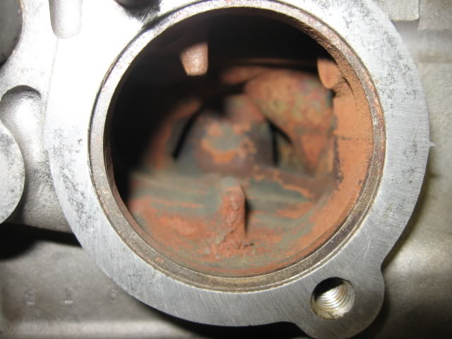 Name:  IMG_0866-1.jpg
Views: 123
Size:  55.9 KB