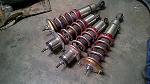 JIC Magics with Swift springs-wp_20170628_004.jpg