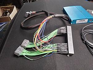 Emanage Blue, Gifftech Software &amp; Cable, Older Guy O2 Clamp, Map Sensor, Boomslang-25158493_10155031987076003_8257947881078836348_n.jpg