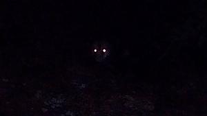 Free stuff - 1.6, 1.8, turbos, MSM parts, etc-20180203_194511.jpg