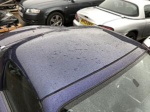 Blue and Red hardtops for sale ....-img_0801.jpg