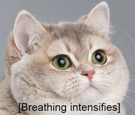 Name:  IaLG69W.gif
Views: 26
Size:  334.2 KB