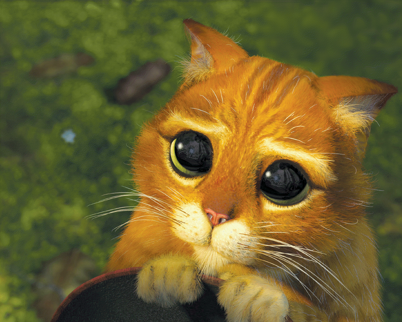 Name:  SqVWnnA.jpg
Views: 121
Size:  704.2 KB