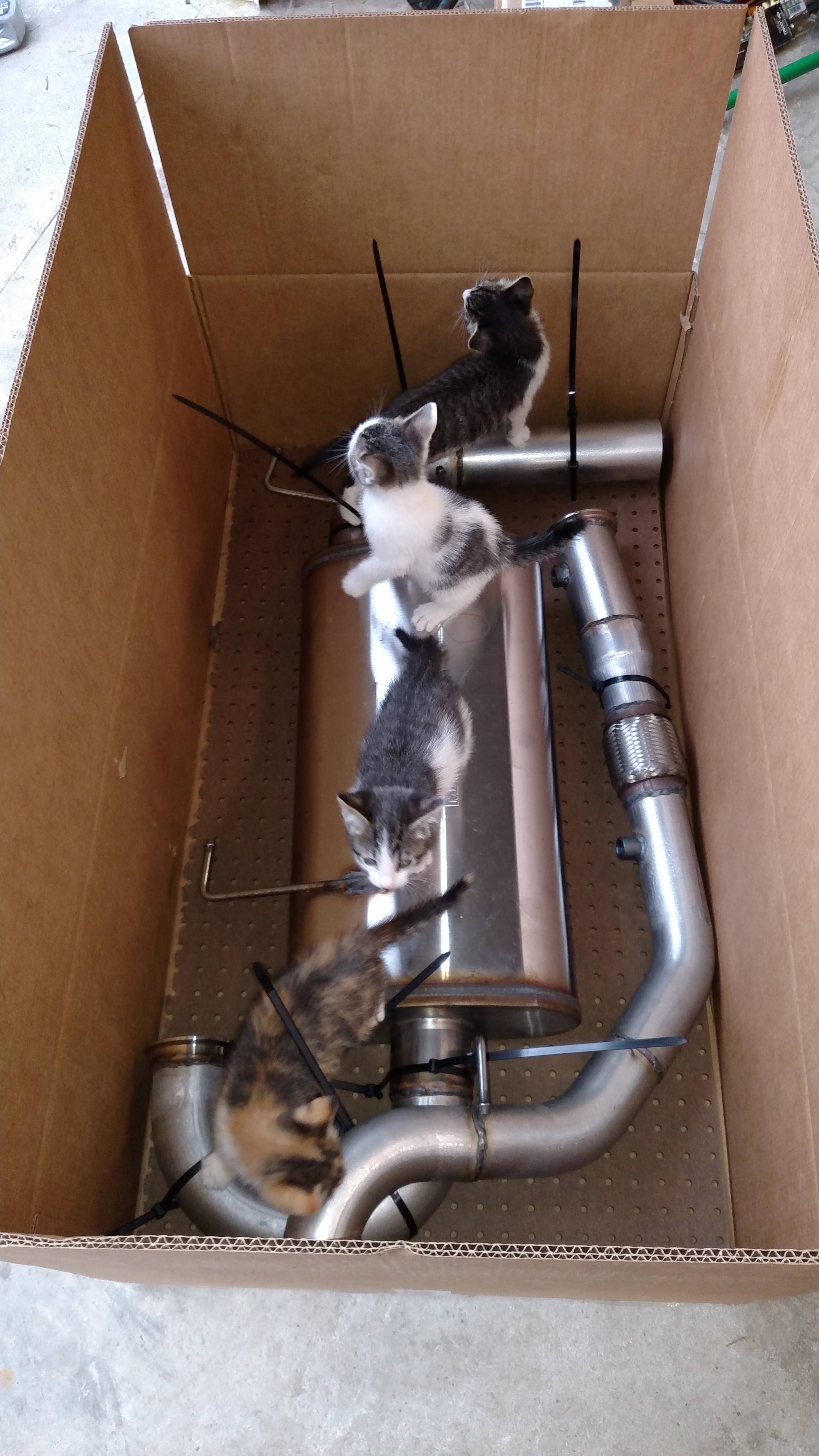 Name:  BmMpdd5.jpg
Views: 106
Size:  893.5 KB