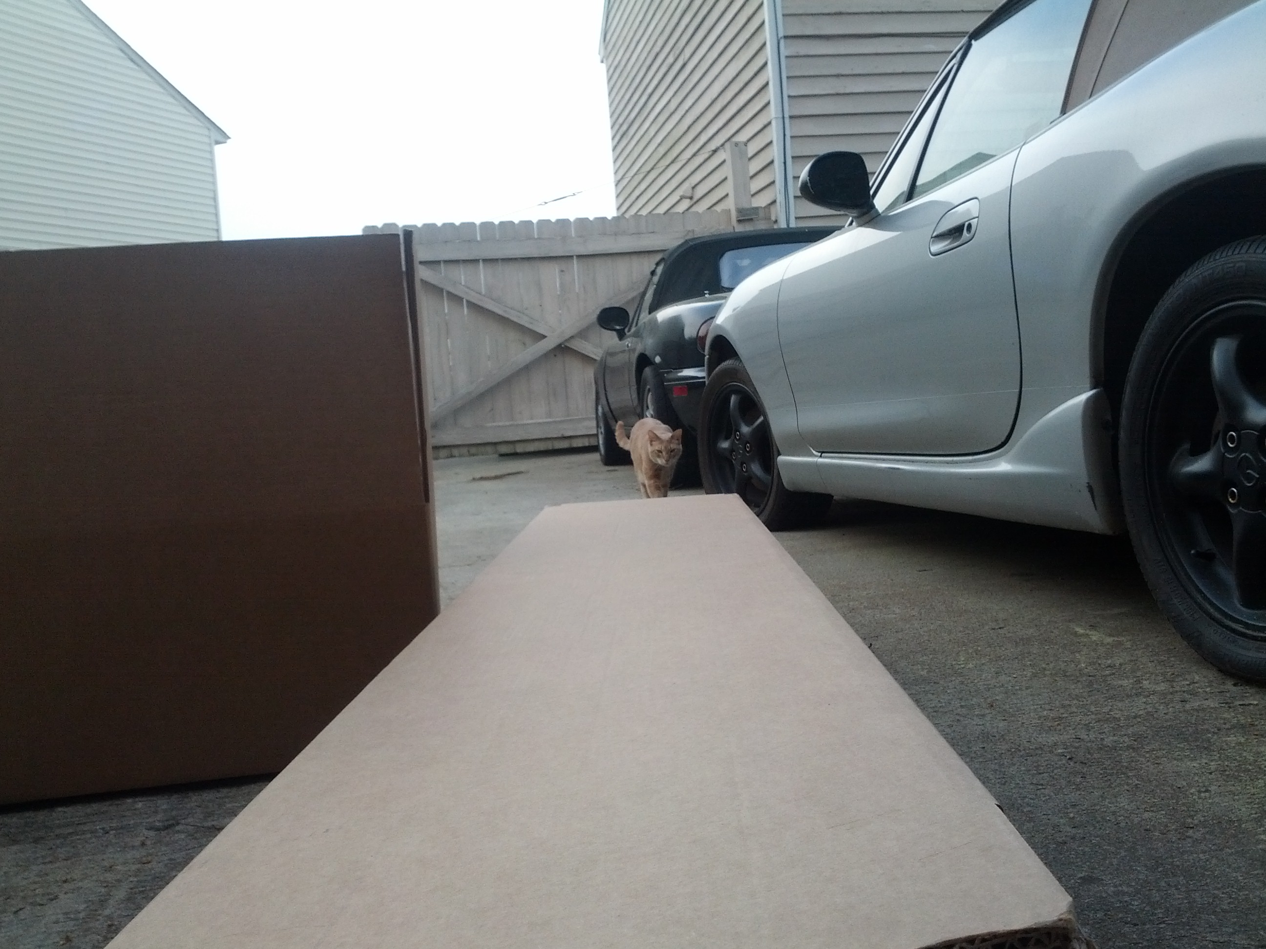 Name:  tZR1f7Z.jpg
Views: 120
Size:  776.9 KB