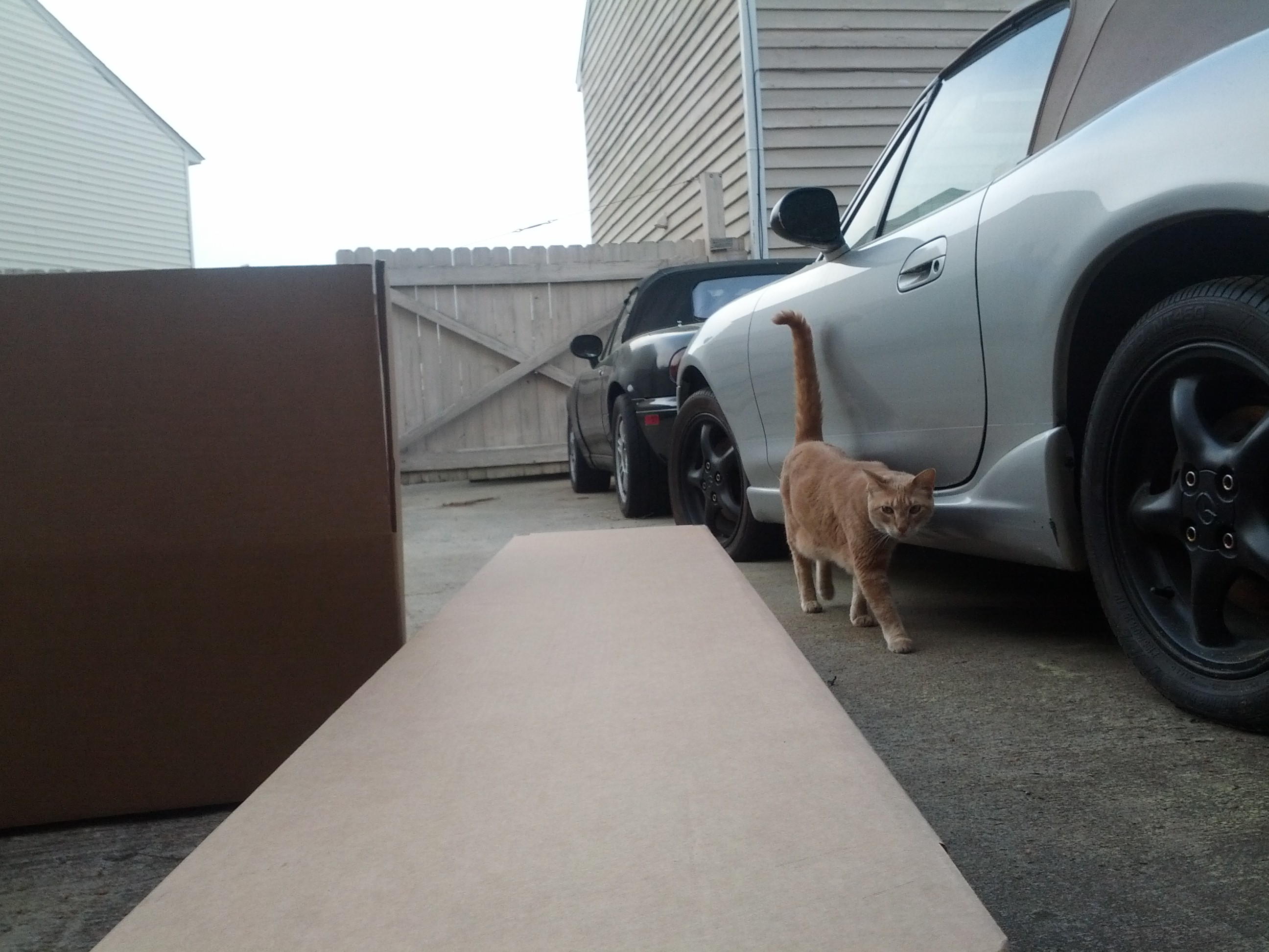 Name:  30ifrd3.jpg
Views: 124
Size:  778.0 KB