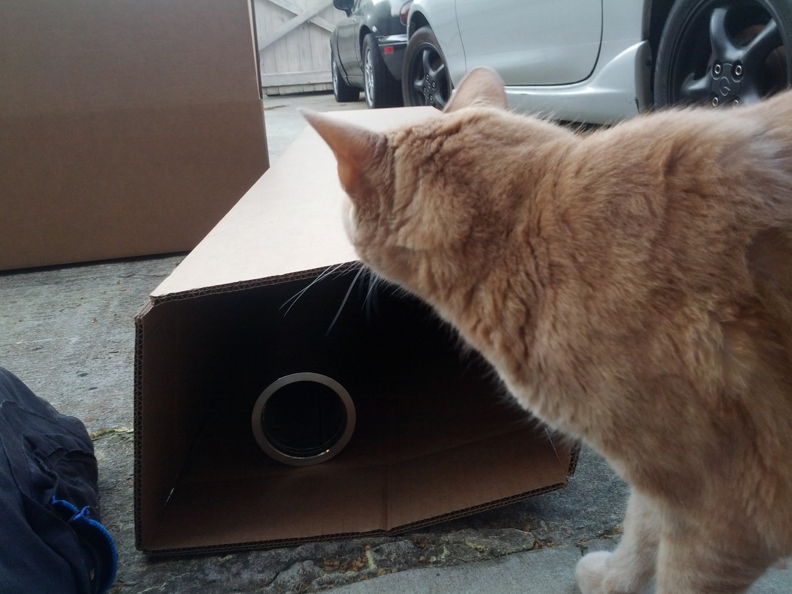 Name:  ErDkK8j.jpg
Views: 125
Size:  866.2 KB