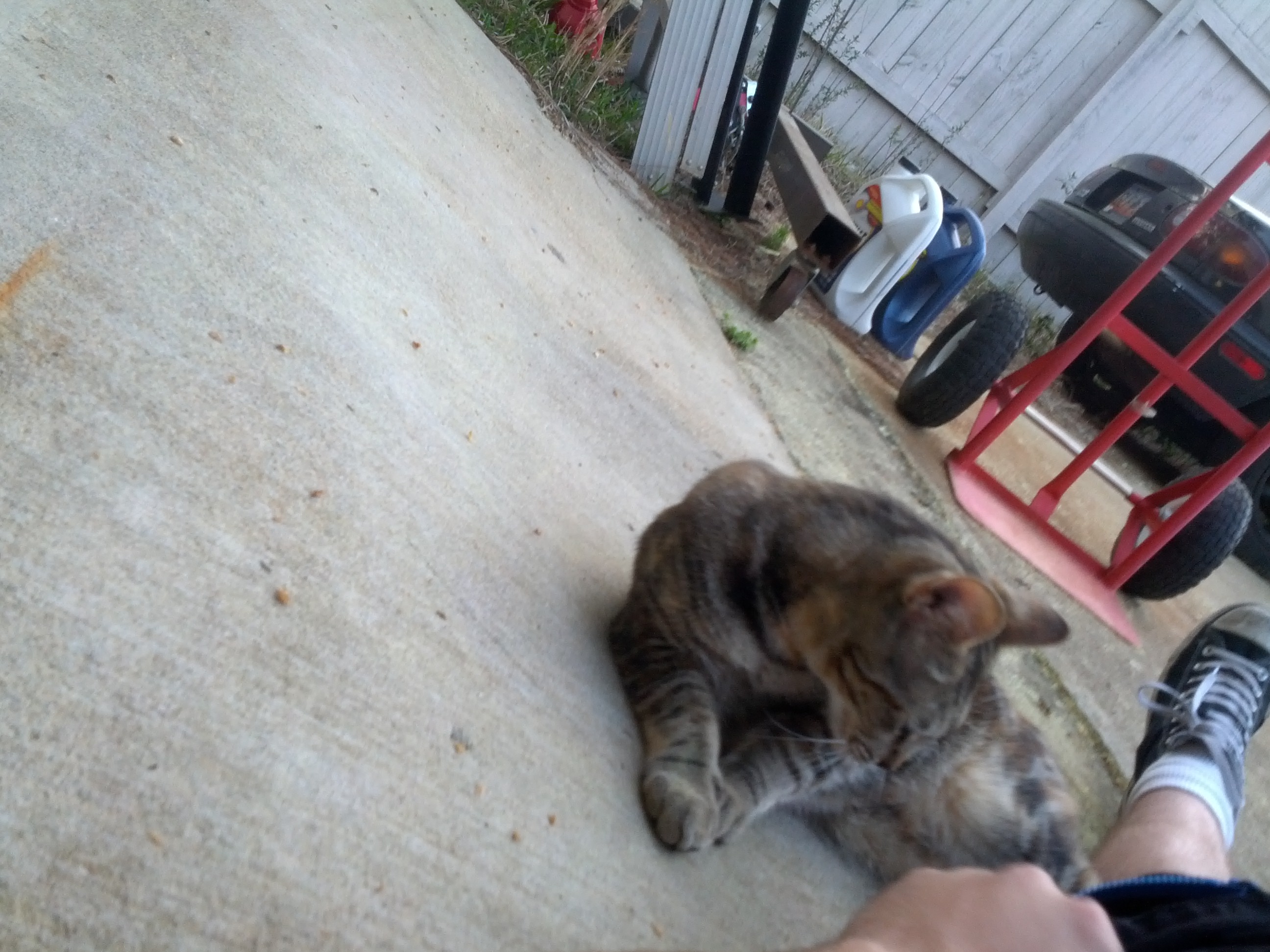 Name:  I5y3SXd.jpg
Views: 118
Size:  790.3 KB