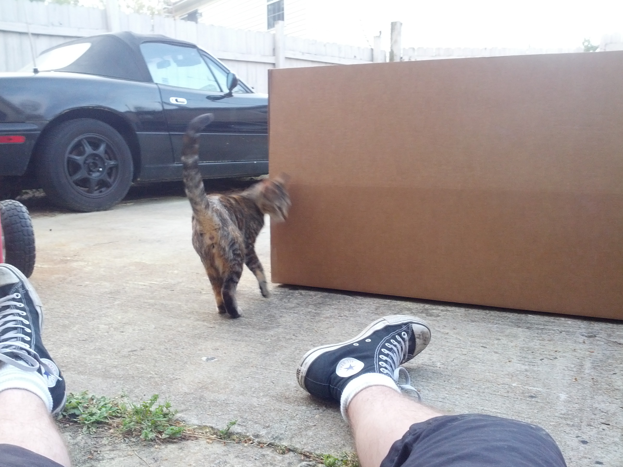 Name:  bGExBFu.jpg
Views: 109
Size:  868.9 KB