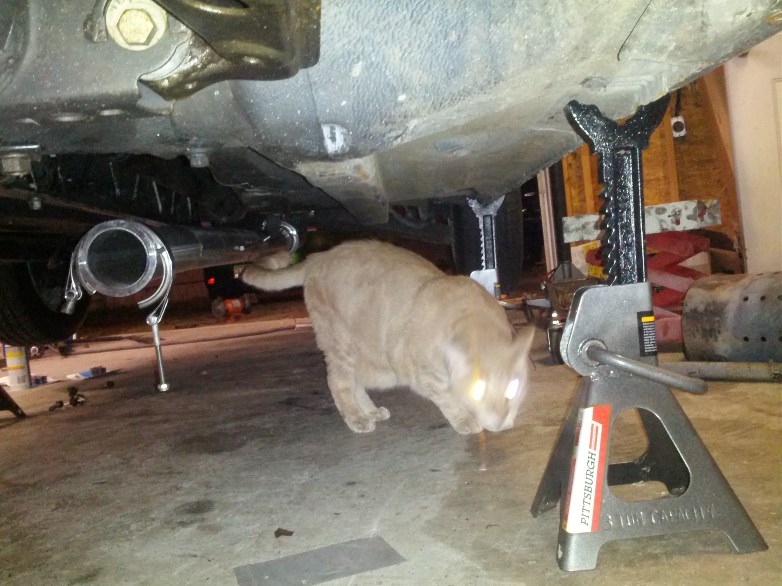 Name:  DnfOlj4.jpg
Views: 104
Size:  914.9 KB