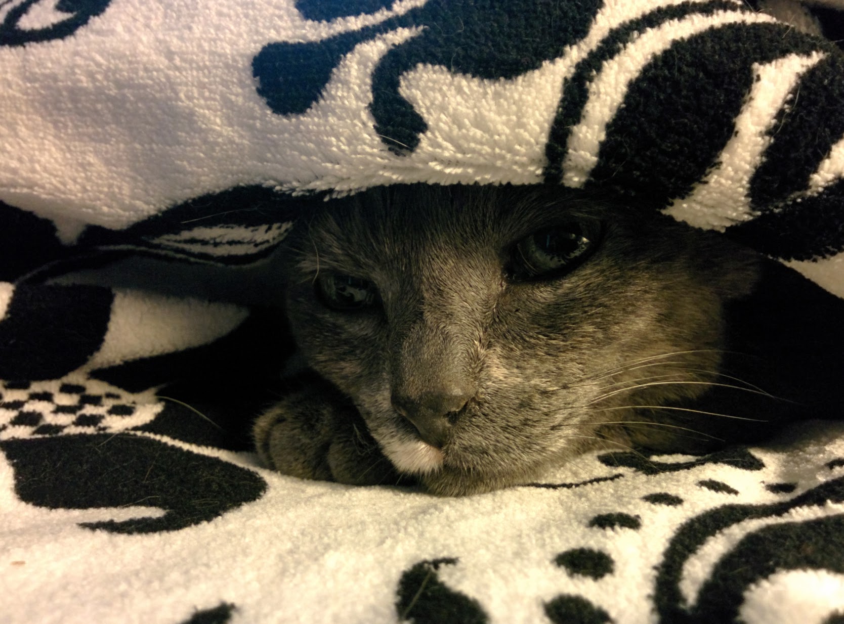 Name:  U6oHjXC.jpg
Views: 111
Size:  309.6 KB