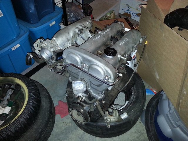 Name:  Abepoerl.jpg
Views: 35
Size:  68.0 KB