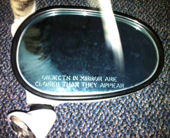 Name:  jpYRs.png
Views: 26
Size:  419.1 KB