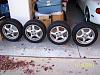 NB Sport 5 Spoke wheels-100_0264.jpg
