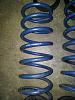 Koni Blue Lowering Springs-20111011_222511.jpg