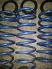 Koni Blue Lowering Springs-20111011_222450.jpg