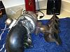 1.6 manifold, SR20 turbo, downpipe, gauges and other parts-3d3644b4.jpg