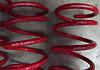 Racing Beat Springs 99-00-racingbeat3.jpg