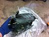 2001 Intake Manifold-intake-mani-2.jpg