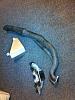 1.8l BEGi Manifold, DP, and heat shield-68867_10151168537801616_1316335673_n_zpse4376b1d.jpg